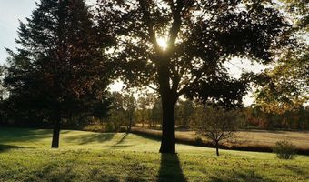 15900 28 Mile Rd, Albion, MI 49224