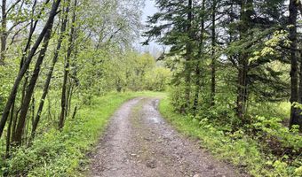 89 Don Jr Way, Altona, NY 12910