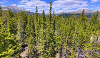 2221 Kootchie Kootchie Rd Lot 0, Alma, CO 80420