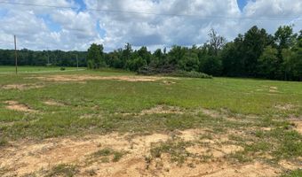 OLD MORRIS CHAPEL Rd, Adamsville, TN 38310
