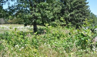 Jeans RD, Veneta, OR 97487