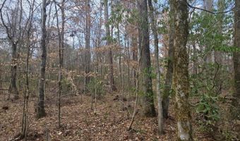 U.S. Highway 51, Bogue Chitto, MS 39629