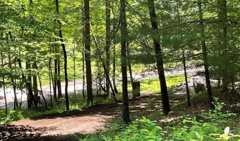 21 Collett Woods Trl Lot #21, Andrews, NC 28901