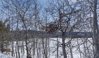 445 TARGHEE TOWNE Rd, Alta, WY 83414