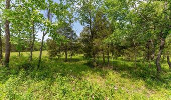 676 County Road 403, Alton, MO 65606