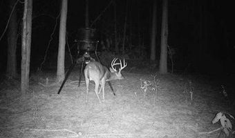 00 Pinola Braxton Rd, Braxton, MS 39044