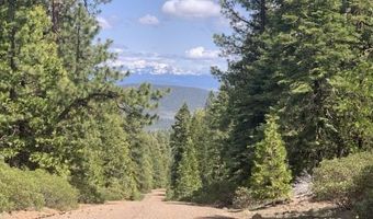 Railroad Flat Dr, Alturas, CA 96101