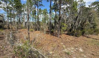 101 St Ct, Archer, FL 32618