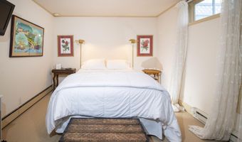 715 W Smuggler St, Aspen, CO 81611