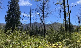 Blue River Dr, Blue River, OR 97413