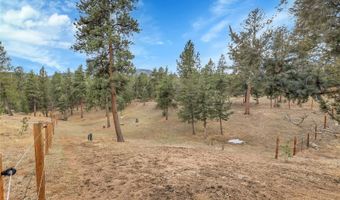 64 Elk Horn Ct, Bailey, CO 80421
