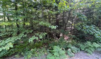 1695 Washburn Rd, Alexandria, NH 03222