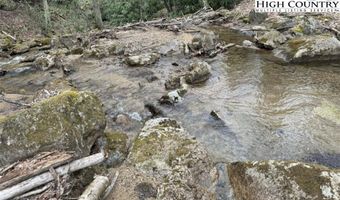 62 Acres Buckeye Ridge Rd, Beech Mountain, NC 28604