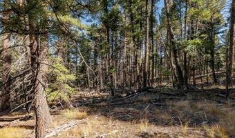 Back Basin Rd lot 145, Angel Fire, NM 87710