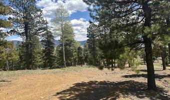 Lot 91ab Pam Coleman Drive, Angel Fire, NM 87710