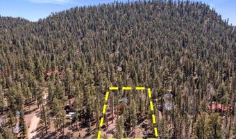 6 County Rd 2042, Alpine, AZ 85920