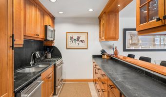 326 W Hopkins Ave, Aspen, CO 81611