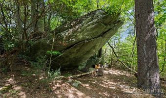 830 W Tweetsie Ln, Banner Elk, NC 28604