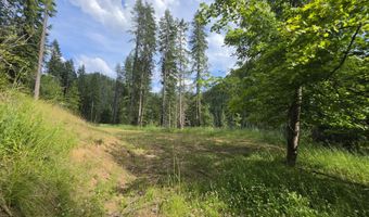 480 Dunn Peak Rd, Avery, ID 83802