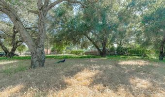 1518 Olivewood Ln, Alpine, CA 91901