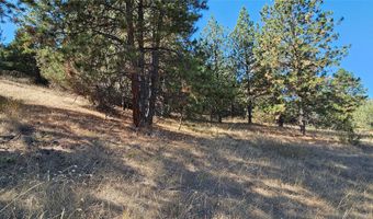 NHN Wild Horse View, Big Arm, MT 59910