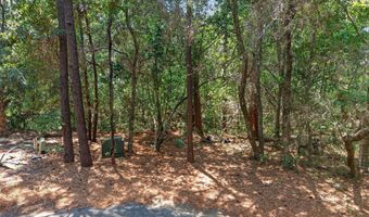 6 Clapper Rail Ct, Bald Head Island, NC 28461