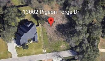 13002 Pigeon Forge Dr, Belton, TX 76513