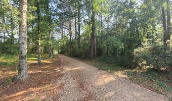 0 Thompson Ln, Carriere, MS 39426