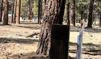 0 Mina Bird Lot 7 & 8, Bonanza, OR 97623