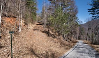 99999 Green Ridge Falls Rd 17, Barnardsville, NC 28709