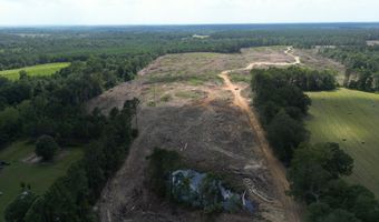 SE Cole Drive, Bogue Chitto, MS 39629