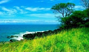 56-135 PUALANI Rd, Hawi, HI 96719