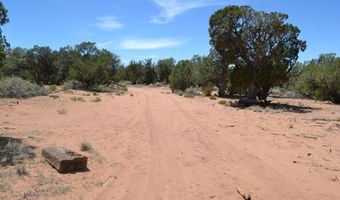 82 5020, Concho, AZ 85924