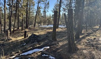 Golden Eagle Drive 30, Bonanza, OR 97623