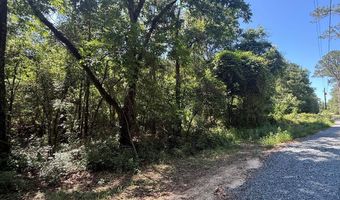 Appian Way, Baconton, GA 31716