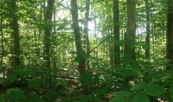 72-2 Frohock Brook Rd, Alton, NH 03810