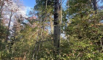 V/L S M-33, Alger, MI 48610