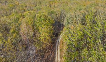 197 Old Homestead Rd, Big Sandy, TN 38221
