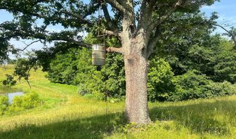 2359 White Tree Hill Rd, Ballard, WV 24918