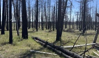 Off-Hicks Road, Bly, OR 97622