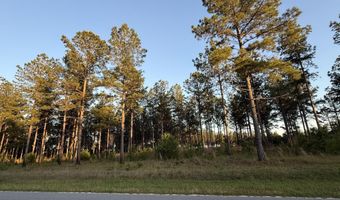 506 Nature Trl, Blackville, SC 29817