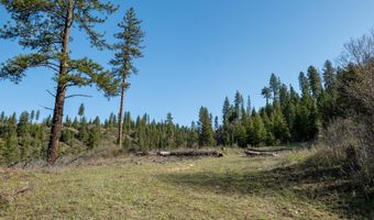 NKA 262 Ac N Side Rd, Calder, ID 83808