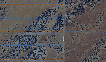 210-06 005 & 206-51-136, Chambers, AZ 86502