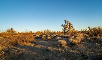 2641 S Javalina Rd, Yucca, AZ 86438