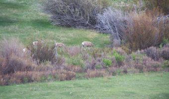 139 N PINEY LAKE 23-159, Big Piney, WY 83113