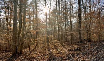 Muddy Ridge Rd, Adams, KY 41201