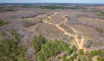 0 Vista Ln, Bethel Springs, TN 38315