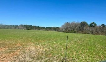 0 Tervin Mill Rd, Andalusia, AL 36421