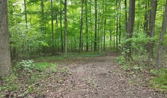 14900 Woodbridge Rd, Camden, MI 49232