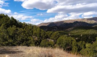 TBD Hwy 9, Canon City, CO 81212